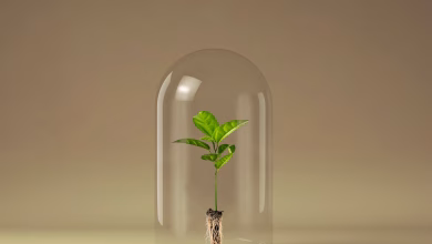 ۱۰ عادت روزانه برای داشتن سبک زندگی لاکچری 1 ۱۰ عادت روزانه برای داشتن سبک زندگی لاکچری