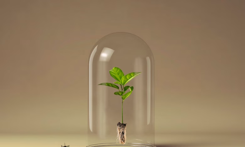 ۱۰ عادت روزانه برای داشتن سبک زندگی لاکچری